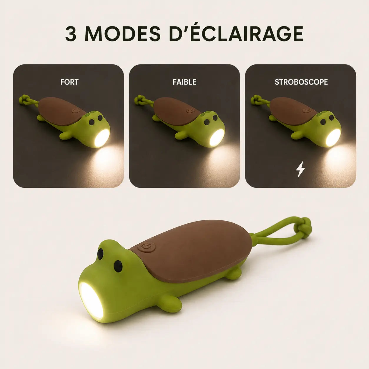 Lampe Torche Tortue