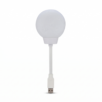 Veilleuse Lune USB