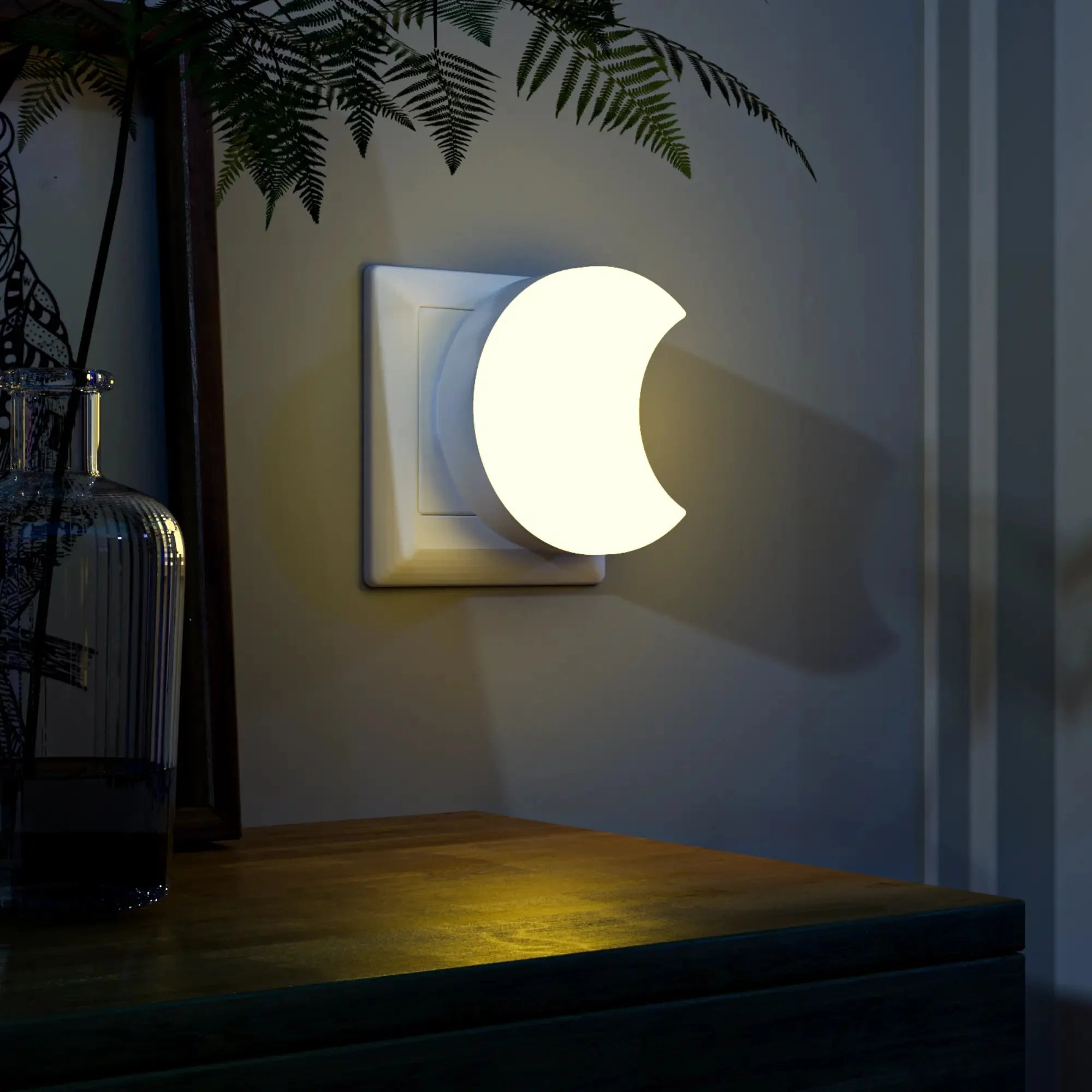 Veilleuse Prise Lune