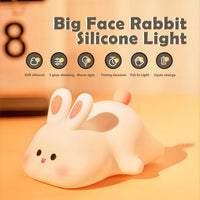 Veilleuse Paresseux en Silicone