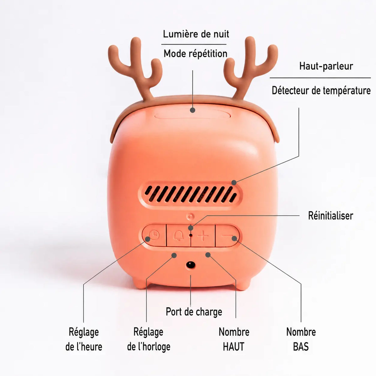 Infographie détaillée montrant les commandes à l'arrière du réveil avec bois de cerf corail pour le réglage de l'heure, du haut-parleur et du port de charge.