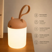 Infographie d'une veilleuse nomade terracotta à anse allumée sur un meuble en bois, détaillant ses fonctionnalités en français : rechargeable avec batterie intégrée, portable, variation d'intensité de l'éclairage et grande autonomie jusqu'à 30 heures.